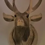 펜션 In Het Koetshuis 아펠도른